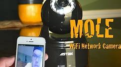 MOLE WiFi Network Camera Review/Tutorial/Test