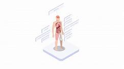 Human body anatomy infographic animation of structure of human organs. Cartoon in 4k resolution