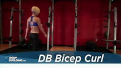 Dumbbell Bicep Curl - Bicep Exercise - Bodybuilding.com