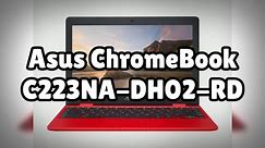 Photos of the Asus ChromeBook C223NA-DH02-RD | Not A Review!