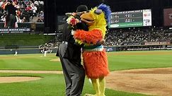 A fowl move? The San Diego Famous Chicken was almost traded away before he became a local icon