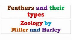 feathers and their types | development | colour | molting