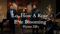 Lo, How a Rose E’re Blooming (Hymn 220) - Hymnology (Official Video)