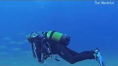 Diving at Achata with the fam - It Takes Two - Part 9