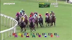 Pakistan Star: Why in the world is everyone sharing this horse racing video?