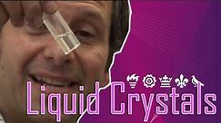 Introduction to Liquid Crystals
