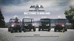 2017 Kawasaki Mule SX series - BUILT STRONG TO WORK HARD