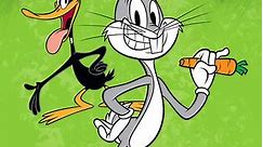 The New Looney Tunes: Season 2 Episode 43 Amaduckus / Fowl Me Once