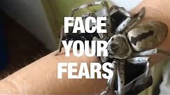 How to Overcome Your Fear of Insects