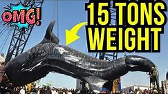 Top 10 Largest Fish in The World - World's Largest Fish Ever Caught