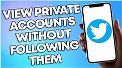 How To See Private Twitter Account Without Following Them 2023 (THE EASY WAY)