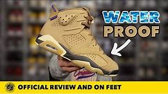 A Sneaker Against Rain! Air Jordan 6 GORE-TEX 'Brown Kelp' In Depth Review and On Feet.