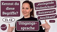 Deutsch C1, C2: Kennst du diese Begriffe aus der Umgangssprache?