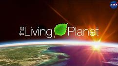 Our living planet from space
