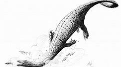Hyphalosaurus - Alchetron, The Free Social Encyclopedia