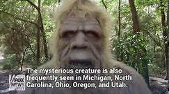 The US states with the most frequent Bigfoot sightings