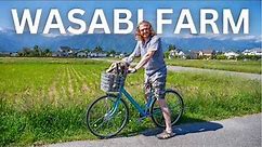 Daio WASABI FARM in Japan 🌱 | Exploring RURAL JAPAN by Bike on a Day Trip from Matsumoto