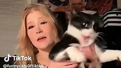 Tuxedo Cat Behavior! Funny Cat Videos - Funniest Cats Ever