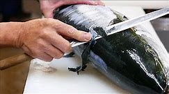 Japanese Food - YELLOWTAIL AMBERJACK Sashimi Braised Fish Kanazawa Seafood Japan