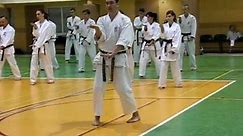 KURURUNFA Kata, SLOW !!! - Seminarium Goju Ryu Karate Do Seiwa Kai, Marki, Poland 2011.