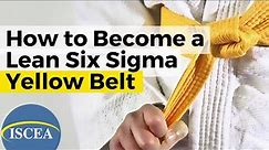 Certified Lean Six Sigma Yellow Belt - ISCEA CLSSYB - The fastest way to earn a Lean Six Sigma Belt