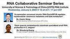 RNA Collaborative - USTC RNA Institute, January 3, 2024