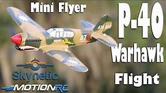 Skynetic P-40 EPP with Gyro 400mm Assembly/Flight | Motion RC
