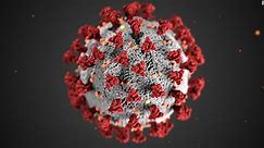 Enten: Finally good news on Covid-19 vaccine hesitancy