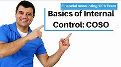 Introduction to Internal Control COSO Framework | Principles of Internal Control | CPA Exam ch 6 p