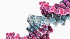 Reproduction DNA and Genetics - BBC Bitesize