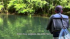 Pirineo Navarro pesca trucha