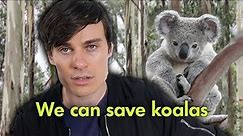 Can we SAVE koalas?
