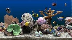 Marine Aquarium 3 - 2 hours (4K)