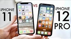 iPhone 12 Pro Vs iPhone 11! (Comparison) (Review)