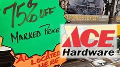 What To Buy Right Now At Ace Hardware!