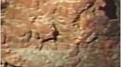 Sunken Titanic ship found in footage from 1986 dive