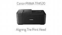 Canon PIXMA TR4520 - Aligning The Print Head