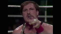 WWF ALL STAR WRESTLING (FEBRUARY 21ST 1981)