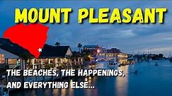 (MOSTLY) Everything About Mount Pleasant - Close To Multiple Beaches And Downtown Charleston