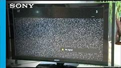 Bravia TV: I have No Signal