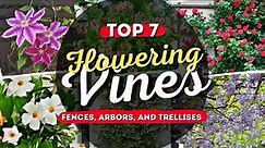 Top 7 Flowering Vines for Fences, Arbors, and Trellises 🍃🌸 Enchanting Climbers 🌼