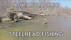 Steelhead of Ashtabula Ohio