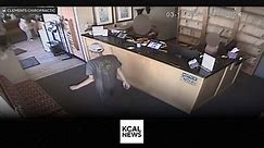 Chiropractic office surveillance video shows sexual assault suspect wandering into the business