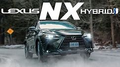 Lexus NX Hybrid In-depth Review 53MPG!!! SO EFFICIENT! Who needs an EV!?