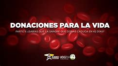Donaciones para la vida II: ¿Sabías que la sangre que donas caduca en 42 días?