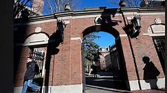 Harvard Sees Dramatic Drop in Early Admission Applications Following Anti-Semitism, Plagiarism Claims