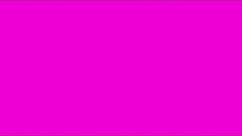 Neon Pink Screen | Pure Pink For 10 Hours | Background | Backdrop | Screensaver | DIY Led light