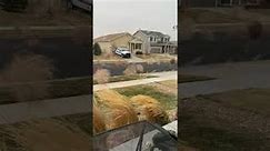 Tons of Tumbleweeds Blow Through Colorado Neighborhood