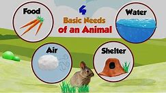 The Needs of an Animal | Needs of Living Things | Animal Needs | Basic Needs of Animal for Kids