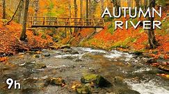 Autumn River Sounds - Relaxing Nature Video - Sleep/ Relax/ Study - 9 Hours - HD 1080p